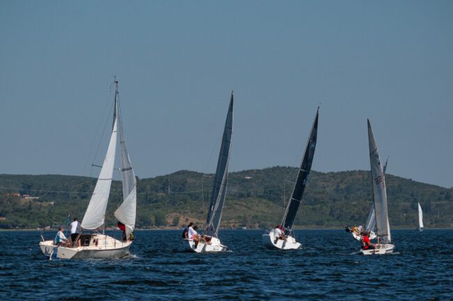 VdD 2024 (18)
