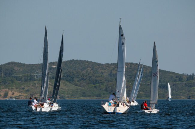 VdD 2024 (19)